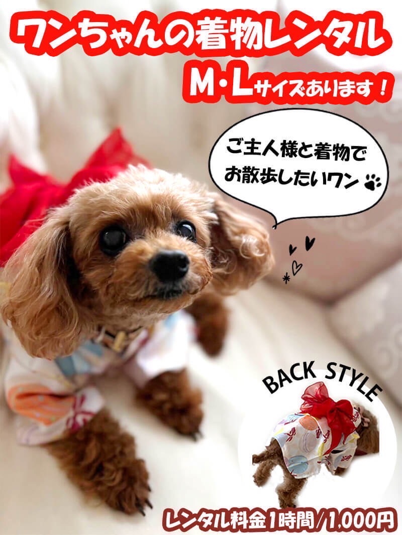 🐶わんちゃん浴衣レンタル🐶☆5月25日26日限定！☆わんちゃんイベント